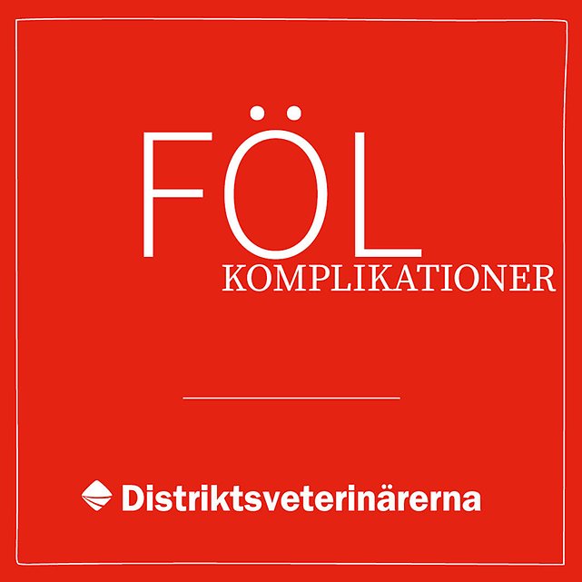 Fölning och fölet | Häst | Distriktsveterinärerna
